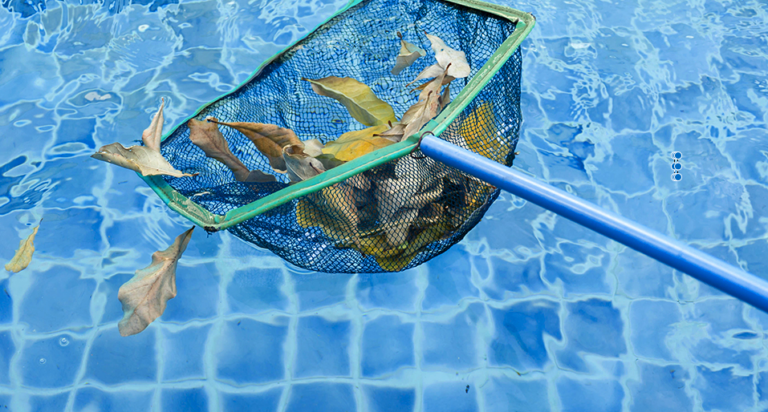 weekly_pool_care